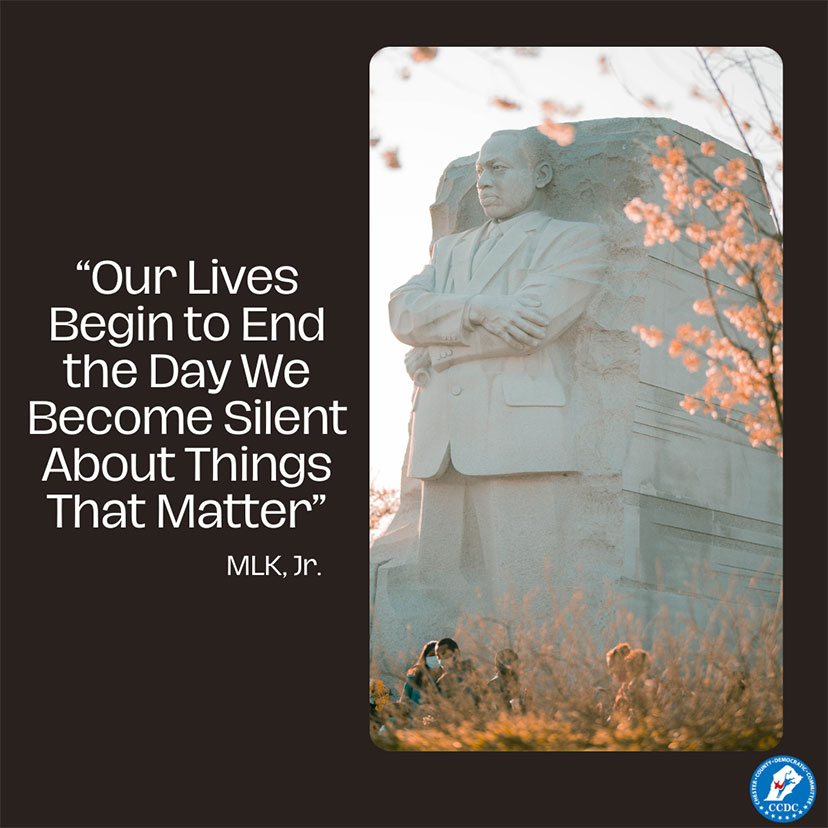 Our Lives Begin to End the Day We Become Silent About Things That Matter. ~ MLK Jr