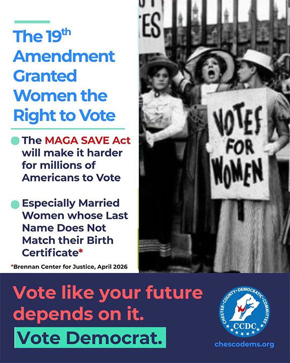 The 19th amendment granted women the right to vote.